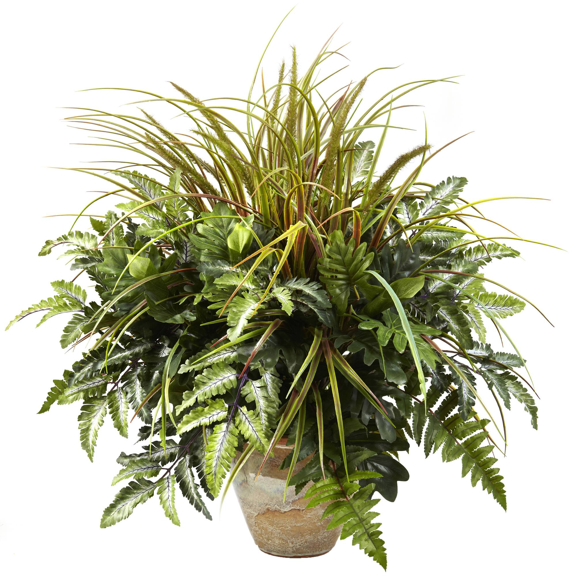 2ft. Mixed Greens & Grass in Ceramic Planter